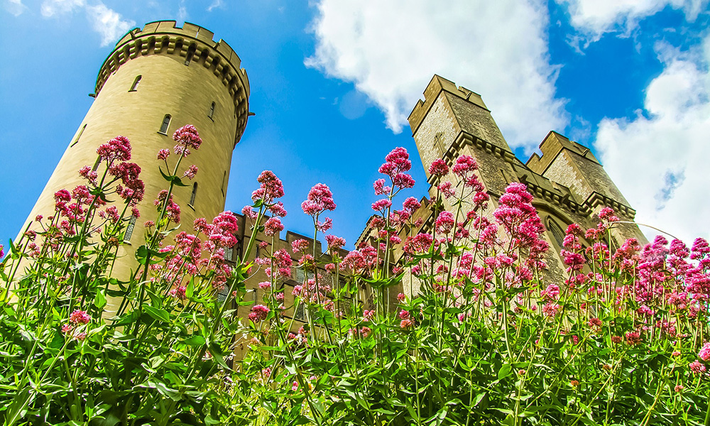 Explore the historic Arundel Castle and its expansive gardens...