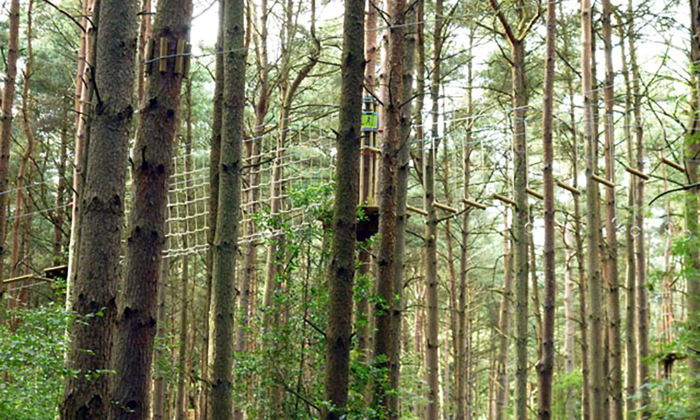 For treetop adventures, Go Ape's Crawley course is full of thrills and spills