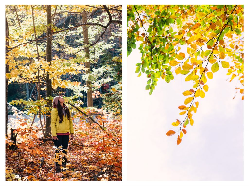 Girl walking in forest with yellowing leaves around her.